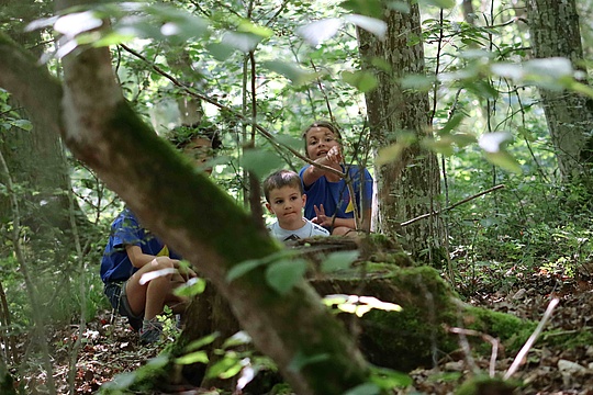 Einige Pfadfinderkinder siten versteckt im Wald.