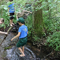 Pfadfinder bauen einen Staudamm